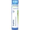 imageBoiron Graphites 200Ck Homeopathic Medicine for Fissures ampamp Thick Scars  80 Pellets12c