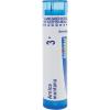 imageBoiron Hamamelis Virginiana 200Ck Homeopathic Medicine for Hemorrhoids  80 PelletsHamamelis Virginiana  Arnica Montana 3C