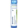 imageBoiron Ipecacuanha 6C Homeopathic Medicine for Nausea  80 Pellets