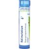 imageBoiron Kali Muriaticum 12C Homeopathic Medicine for Nasal Congestion  80 Pellets6c
