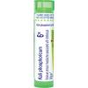 imageBoiron Kali Phosphoricum 6X for Tension Headachess Associated with Intellectual Fatigue  80 Pellets