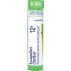 imageBoiron Lycopodium Clavatum 1M for Bloated Abdomen Improved by Passing Gas  80 Pellets12x