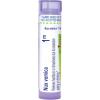 imageBoiron Nux Vomica 1M for Heartburn or Drowsiness Due to Excessive Eating or Drinking  80 Pellets
