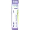 imageBoiron Pulsatilla 1M for Cold with Nasal Discharge  80 Pellets