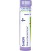 imageBoiron Sabadilla 1M for Itchy Throat Due to Hay Fever  80 Pellets