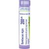 imageBoiron Sambucus Nigra 200Ck for Hoarseness with Painful Cough ampamp Nasal Congestion  80 Pellets
