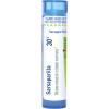 imageBoiron Sarsaparilla 30C for Cracked Skin or Bladder Incontinence  80 Pellets