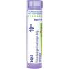 imageBoiron Sepia 10M for Bloating ampamp Lower Back Pain During Menstruation  80 Pellets