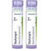 imageBoiron Staphysagria 1M for Itching of Surgical Wounds  80 Pellets80 Count Pack of 2