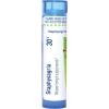 imageBoiron Staphysagria 30C Homeopathic Medicine for Surgical Wounds  80 Pellets30c