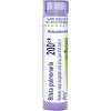 imageBoiron Sticta Pulmonaria 200Ck for Nasal Congestion with Sinus Pain from Cold or Allergy  80 Pellets