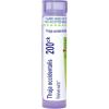 imageBoiron Thuja Occidentalis 200Ck Homeopathic Medicine for Warts  80 Pellets Packaging May Vary