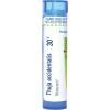 imageBoiron Thuja Occidentalis 30C Homeopathic Medicine for Painless Wart Removal Medicine  80 Pellets