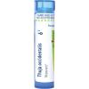 imageBoiron Thuja Occidentalis 6C Homeopathic Medicine for Painless Wart Removal  80 Pellets