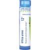 imageBoiron Urtica Urens 200CK 80 Pellets Homeopathic Medicine for Skin Rash 80 Count Pack of 112c