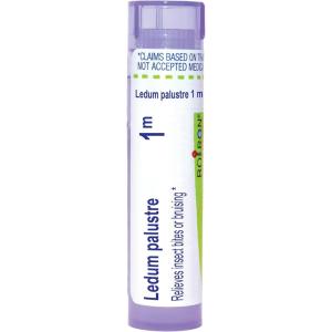 imageBoiron Ledum Palustre 1M for Insect Bites or Bruising  80 Pellets