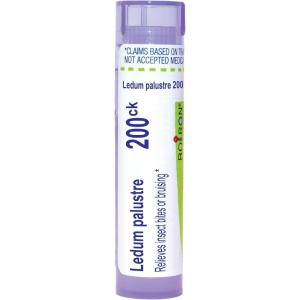imageBoiron Ledum Palustre 200Ck Homeopathic Medicine for Insect Bites  80 Pellets200ck