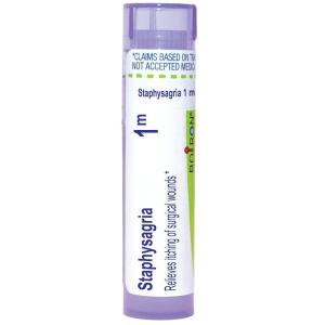 imageBoiron Staphysagria 1M for Itching of Surgical Wounds  80 Pellets80 Count Pack of 1
