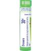 imageBoiron Drosera Rotundifolia 30X  Homeopathic Medicine for Coughing  80 Pellets