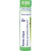 imageBoiron Rumex Crispus 6X for Dry Cough Worsened by Breathing Cold Air  80 Pellets