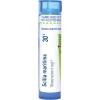 imageBoiron Scilla Maritima 30C for Hay Fever or Cough  80 Pellets