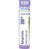 imageBoiron Spongia Tosta 200Ck Homeopathic Medicine for Croupy Cough  80 Pellets
