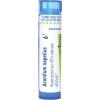 imageBoiron Aconitum Napellus 6C Homeopathic Medicine for Fever  80 PelletsAconitum Napellus