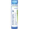 imageBoiron Aconitum Napellus 6C Homeopathic Medicine for Fever  80 PelletsAconitum Napellus