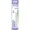 imageBoiron Antimonium Tartaricum 1M for Thick Mucus ampamp Non Productive Cough  80 Pellets