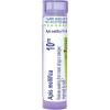 imageBoiron Apis Mellifica 10M for Swelling from Insect Stings or Allergies  80 Pellets