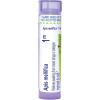 imageBoiron Apis Mellifica 1M for Swelling from Insect Stings or Allergies  80 Pellets
