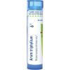 imageBoiron Arum Triphyllum 6 Homeopathic Medicine for Hoarseness  80 Pellets6c