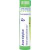 imageBoiron Arum Triphyllum 6X for Hoarseness with Broken Voice  80 Pellets