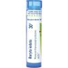 imageBoiron Baryta Iodata 30C for Sore Throat Worsened by Cold ampamp Wet Weather  80 Pellets