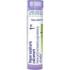 imageBoiron Hepar Sulphuris Calcareum 1M for Painful ampamp Hoarse Dry Cough  80 Pellets