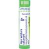 imageBoiron Hepar Sulphuris Calcareum 8X for Painful ampamp Hoarse Dry Cough  80 PelletsWhite