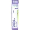 imageBoiron Histaminum Hydrochloricum 1M Homeopathic Medicine for Allergies  80 Pellets