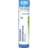 imageBoiron Histaminum Hydrochloricum 6C Homeopathic Medicine for Allergy Relief  80 Pellets