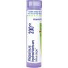 imageBoiron Histaminum Hydrochloricum Homeopathic Medicine for Allergies 200ckWhite 80 Count
