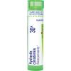 imageBoiron Hydrastis Canadensis 30X Homeopathic Medicine for PostNasal Drip  80 Pellets