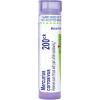 imageBoiron Mercurius Corrosivus 200Ck for Sore Throat with Pain While Swallowing  80 Pellets