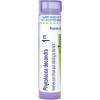 imageBoiron Phytolacca Decandra 1M for Sore Throat Pain Radiating to The Ears  80 Pellets