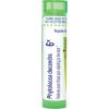 imageBoiron Phytolacca Decandra 6X for Sore Throat Pain Radiating to The Ears  80 Pellets