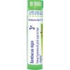imageBoiron Sambucus Nigra 3X Homeopathic Medicine for Cough ampamp Cold Reliefor  80 Pellets