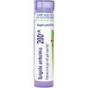 imageBoiron Spigelia Anthelmia 200Ck for Sinus Pain with Post Nasal Drip  80 Pellets