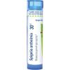 imageBoiron Spigelia Anthelmia 30C for Sinus Pain with Post Nasal Drip  80 Pellets