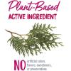 imageBoiron Thuja Occidentalis 30C Wart Removal Homeopathic Medicine for Painless Removal of Warts from Plantar Feet Hands and Other Bodily Warts  3 Count 240 PelletsThuja Occidentalis