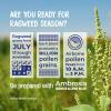 imageBoiron Ambrosia 30c Homeopathic Medicine for Ragweed or Hay Fever Relief and Allergy Symptoms of Sneezing Runny Nose and Itchy Eyes or Throat  1 Count 80 Pellets1 Count Pack of 1
