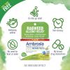 imageBoiron Ambrosia 30c Homeopathic Medicine for Ragweed or Hay Fever Relief and Allergy Symptoms of Sneezing Runny Nose and Itchy Eyes or Throat  1 Count 80 Pellets3 Count Pack of 1