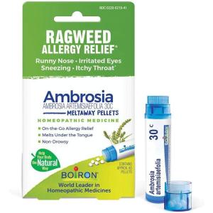 imageBoiron Ambrosia 30c Homeopathic Medicine for Ragweed or Hay Fever Relief and Allergy Symptoms of Sneezing Runny Nose and Itchy Eyes or Throat  1 Count 80 Pellets1 Count Pack of 1